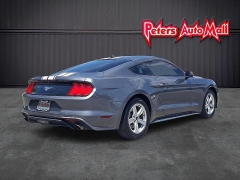 Used 2021  Ford Mustang EcoBoost Fastback at Peters Auto Mall near High Point&comma; NC