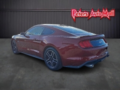 Used 2019  Ford Mustang 2d Fastback GT at Peters Auto Mall near High Point, NC