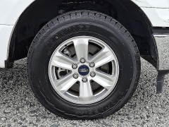 Used 2019  Ford F-150 2WD Reg Cab XL at Peters Auto Mall near High Point&comma; NC