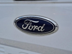 Used 2018 Ford F-150 2WD Reg Cab XL at Peters Auto Mall near High Point, NC