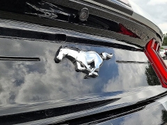 Used 2023  Ford Mustang EcoBoost Convertible at Peters Auto Mall near High Point&comma; NC
