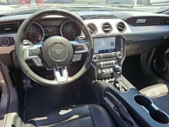 Used 2023 Ford Mustang EcoBoost Premium Fastback at Peters Auto Mall near High Point, NC
