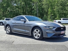  2021 Ford Mustang EcoBoost Fastback at Peters Auto Mall near High Point, NC