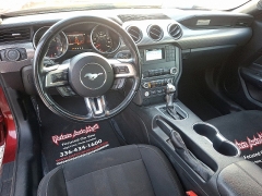 Used 2019 Ford Mustang 2d Fastback GT at Peters Auto Mall near High Point, NC