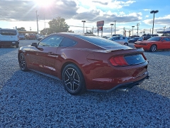 Used 2019 Ford Mustang 2d Fastback GT at Peters Auto Mall near High Point, NC