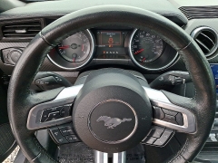 Used 2023  Ford Mustang EcoBoost Convertible at Peters Auto Mall near High Point&comma; NC