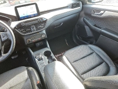 Used 2020  Ford Escape 4d SUV FWD SEL at Peters Auto Mall near High Point&comma; NC