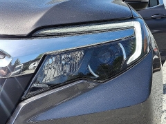 Used 2019  Honda Ridgeline Crew Cab FWD RTL-T at Peters Auto Mall near High Point&comma; NC