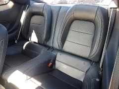 Used 2024 Ford Mustang EcoBoost Fastback at Peters Auto Mall near High Point, NC