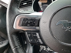 Used 2023  Ford Mustang EcoBoost Convertible at Peters Auto Mall near High Point&comma; NC