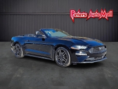  2023 Ford Mustang EcoBoost Convertible at Peters Auto Mall near High Point, NC