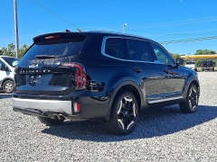 Used 2024  Kia Telluride EX FWD at Peters Auto Mall near High Point&comma; NC