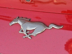 Used 2024 Ford Mustang EcoBoost Fastback at Peters Auto Mall near High Point, NC