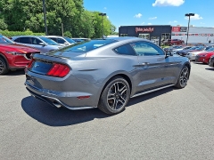 Used 2023 Ford Mustang EcoBoost Premium Fastback at Peters Auto Mall near High Point, NC