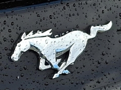 Used 2022  Ford Mustang EcoBoost Convertible at Peters Auto Mall near High Point&comma; NC