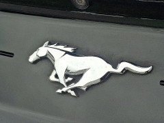 Used 2020 Ford Mustang 2d Fastback Eco Premium at Peters Auto Mall near High Point, NC