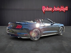 Used 2023  Ford Mustang EcoBoost Convertible at Peters Auto Mall near High Point, NC