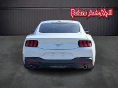 Used 2024  Ford Mustang EcoBoost Fastback at Peters Auto Mall near High Point&comma; NC