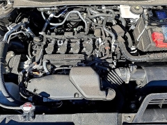 Used 2024  Honda CR-V EX-L 2WD at Peters Auto Mall near High Point&comma; NC