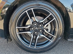 Used 2023  Ford Mustang EcoBoost Convertible at Peters Auto Mall near High Point, NC