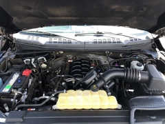 Used 2019 Ford F-150 4WD SuperCrew Box at IK Auto Group near Hilo, HI