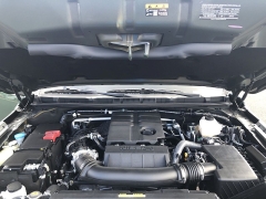 New 2025  Nissan Frontier Crew Cab 4x4 Long Bed PRO-4X at IK Auto Group near Hilo, HI