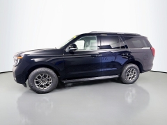 New 2026  Ford Expedition Active 4x4 at Graham Auto Mall near Mansfield&comma; OH