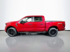 New 2025  Ford F-150 4WD STX SuperCrew 5.5' Box at Graham Auto Mall near Mansfield, OH