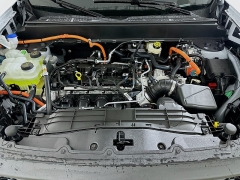 New 2025  Ford Maverick XLT AWD SuperCrew EcoBoost at Graham Auto Mall near Mansfield, OH