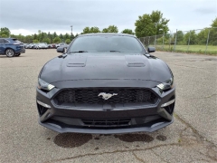 Used 2019 Ford Mustang EcoBoost Fastback at Maxx Loans near ,