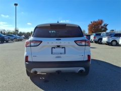 Used 2020  Ford Escape 4d SUV AWD SEL 2.0L at Maxx Loans near St. Adrian, MI