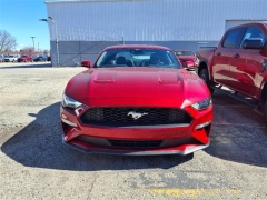 Used 2021 Ford Mustang EcoBoost Fastback at Maxx Loans near ,