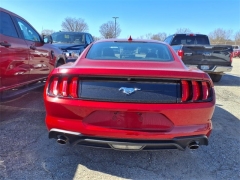 Used 2021 Ford Mustang EcoBoost Fastback at Maxx Loans near ,