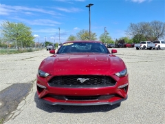 Used 2021 Ford Mustang EcoBoost Fastback at Maxx Loans near ,