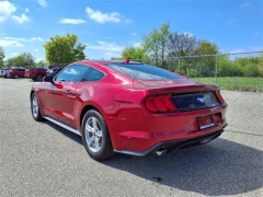 Used 2021 Ford Mustang EcoBoost Fastback at Maxx Loans near ,