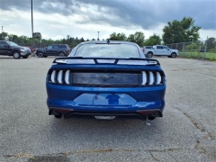 Used 2022 Ford Mustang EcoBoost Fastback at Maxx Loans near St. Adrian, MI