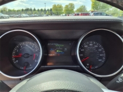 Used 2021 Ford Mustang EcoBoost Fastback at Maxx Loans near ,