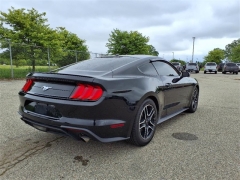 Used 2019 Ford Mustang EcoBoost Fastback at Maxx Loans near ,