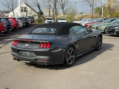 Used 2024  Ford Mustang EcoBoost Convertible at Dime Down by Frank Leta near Bridgeton, MO