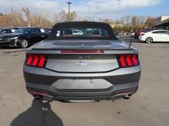 Used 2024  Ford Mustang EcoBoost Convertible at Dime Down by Frank Leta near Bridgeton&comma; MO