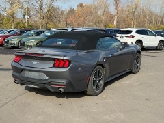Used 2024  Ford Mustang EcoBoost Convertible at Dime Down by Frank Leta near Bridgeton, MO