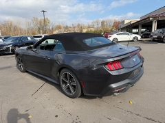 Used 2024  Ford Mustang EcoBoost Convertible at Dime Down by Frank Leta near Bridgeton, MO