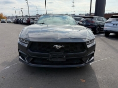 Used 2024  Ford Mustang EcoBoost Convertible at Dime Down by Frank Leta near Bridgeton, MO