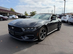 Used 2024  Ford Mustang EcoBoost Convertible at Dime Down by Frank Leta near Bridgeton, MO