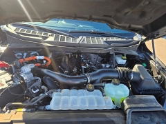 Used 2024  Ford F-150 XLT 4WD SuperCrew Box at Dime Down by Frank Leta near Bridgeton&comma; MO