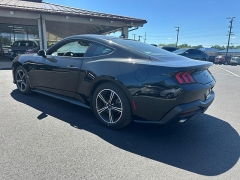Used 2024 Ford Mustang EcoBoost Fastback at Dime Down by Frank Leta near Bridgeton, MO