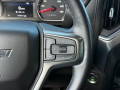 Used 2019  Chevrolet Silverado 1500 4WD Crew Cab 147" LT Trail Boss at Dime Down by Frank Leta near Bridgeton&comma; MO