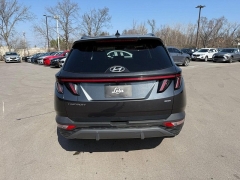 Used 2024  Hyundai Tucson Limited AWD at Dime Down by Frank Leta near Bridgeton&comma; MO