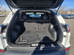 Used 2019  Jeep Cherokee Trailhawk 4x4 at Dime Down by Frank Leta near Bridgeton, MO