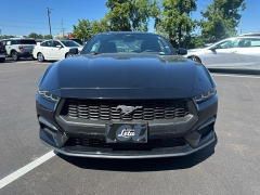 Used 2024 Ford Mustang EcoBoost Fastback at Dime Down by Frank Leta near Bridgeton, MO